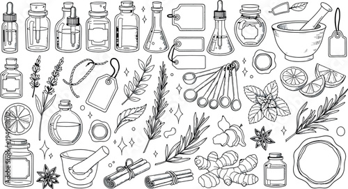 Black and white illustration of various herbal medicine ingredients isolated on transparent background
