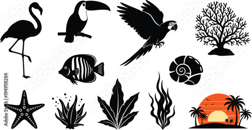 Silhouette tropical icons isolated on transparent background