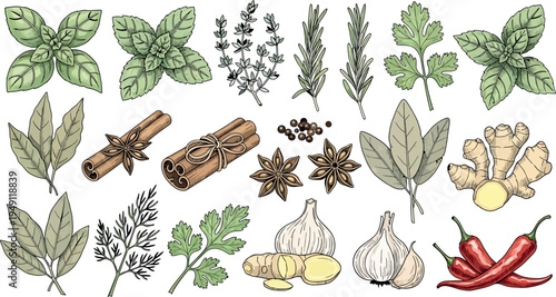 Collection of various herbs and spices isolated on transparent background