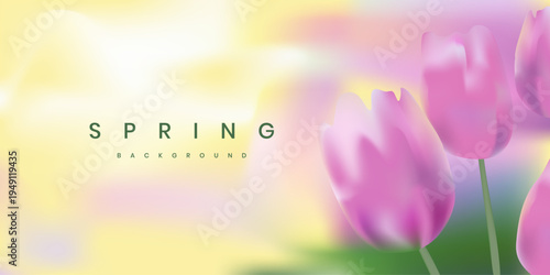 Blurred spring aesthetic flowers background with blooming tulips. Soft white, pink, green and yellow colors. Macro floral blurry landscape for cards, invitations, covers and banners.
