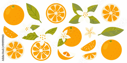 A vibrant collection of oranges slices leaves and delicate blossoms