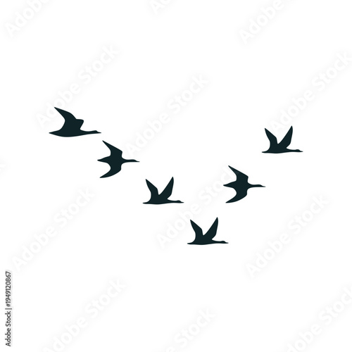 Quadro em tela goose silhouette design. wild duck flying in group