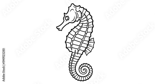 Detailed Line Art of a Graceful Seahorse Illustration.