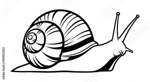 Detailed Black and White Illustration of a Snail with Striped Shell.