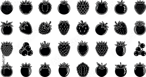 Collection of 30 unique beetle silhouettes in black on white background