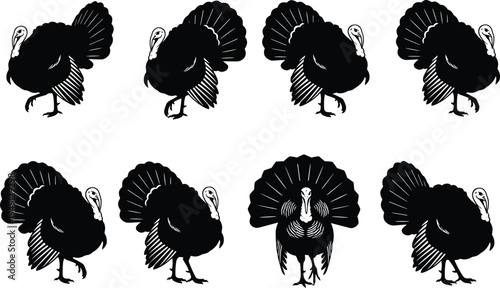 Collection of black turkey silhouettes in various poses including walking, standing, and displaying tail feathers for Thanksgiving holiday designs and farm animal theme concepts
