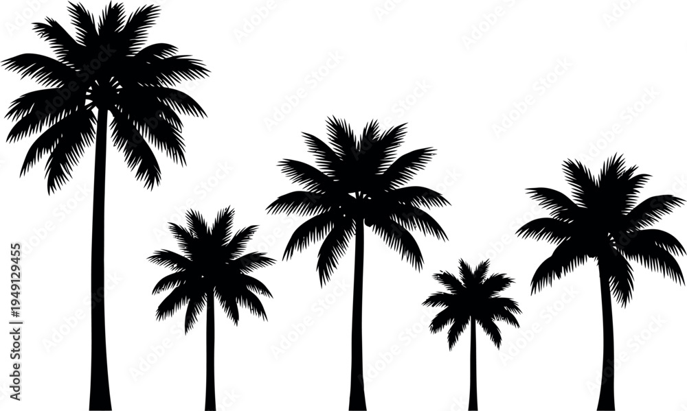 Obraz premium Silhouettes of palm trees on a white background