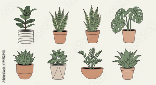 Collection of diverse potted houseplants in various terracotta pots on beige background for interior design