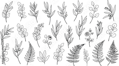 Collection of various plant species isolated on transparent background