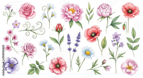 Watercolor flowers collection isolated on transparent background