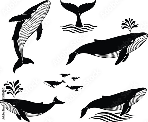 Humpback whale silhouette collection featuring majestic marine mammals breaching swimming and blowing water with tail flukes for ocean life and aquatic nature design projects