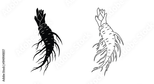 Two ginseng roots displayed in contrasting black and white a striking silhouette