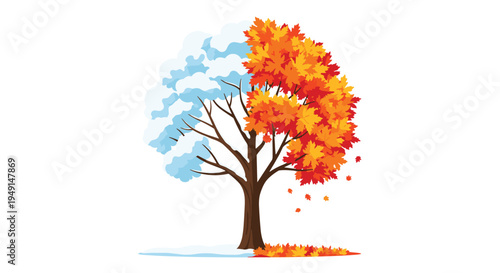 A single deciduous tree is visually split, showing one half covered in white snow and the other half with vibrant orange autumn leaves.