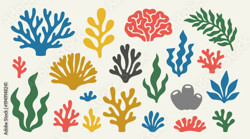 Vibrant colorful coral reef illustration with various seaweeds and marine life.