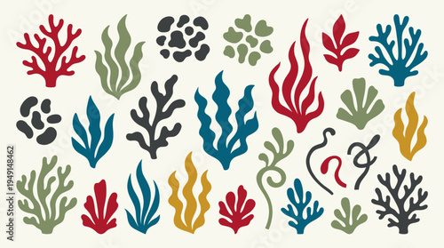 Colorful illustration of various seaweeds and corals.