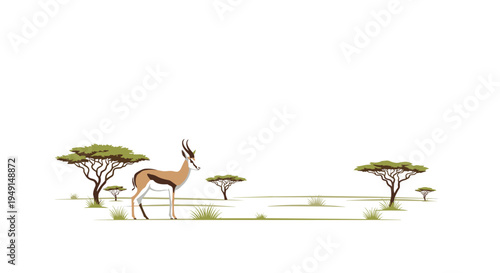 A single springbok with brown, white, and black markings stands gracefully in a sparse savanna landscape with scattered acacia trees and green grass on a white background.