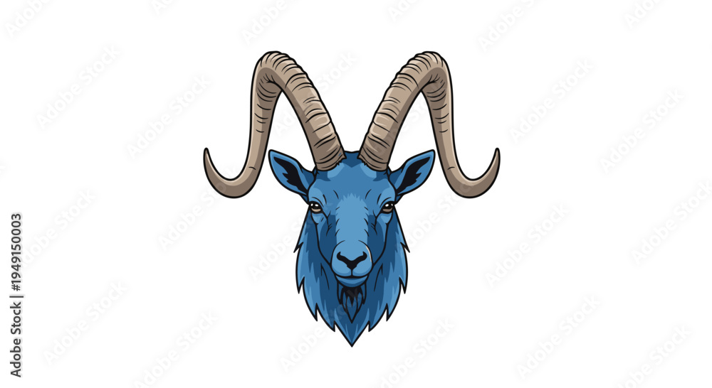 Fototapeta premium A detailed headshot of a blue ram, facing directly forward, featuring large, textured, light brown horns and dark, focused eyes.