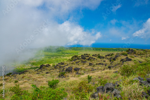 green field and blue sky