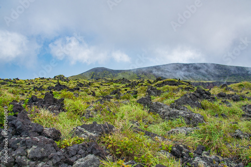 green field and blue sky