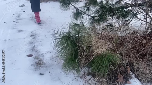 Large Winter Storm Snowfall In Mid-South USA, Western Tennessee