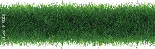 Realistic seamless horizontal banner of dense, vibrant green grass with detailed blades and a natural textured appearance