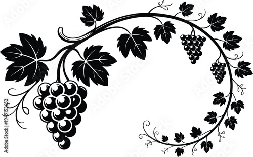 Black and white illustration of a grapevine with leaves and grapes