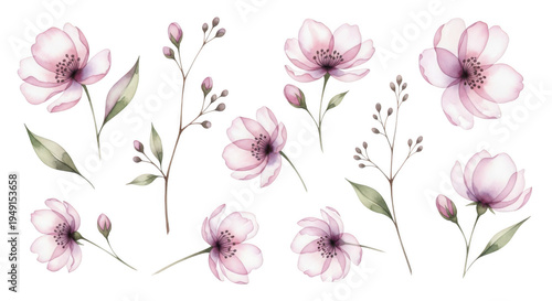 Delicate pink flowers isolated on transparent background
