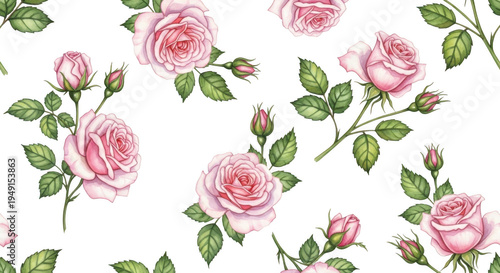 Delicate pink roses pattern isolated on transparent background