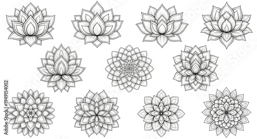 Collection of Intricate Lotus Flower Designs in Black and White.