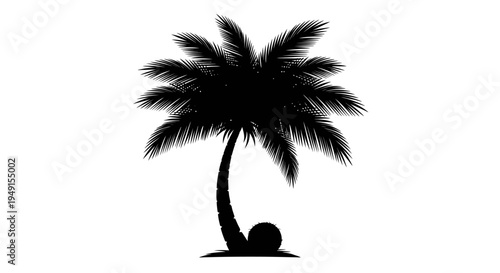 Silhouette of a tropical palm tree with a coconut on the ground.