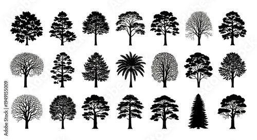 Collection of diverse black silhouette tree shapes representing various species and forms.