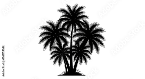 Silhouette of a cluster of palm trees with detailed fronds.