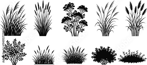 Ornamental Grass and Shrub Silhouettes Collection Isolated on White Background, Black Garden Plants Bushes and Foliage Vector Illustration Set