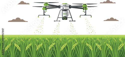 Agricultural drone spraying rice field crops precision farming technology smart agriculture aerial farm vector illustration