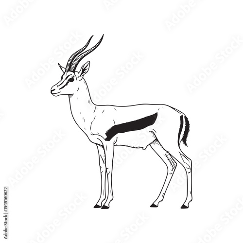 A drawing of an antelope with long horns