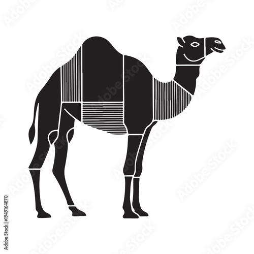 A smiling horse with its head up