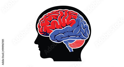 A human head silhouette displaying a colorful detailed brain illustration