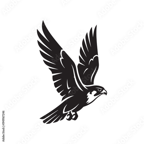 A pair of grey wings on a white background