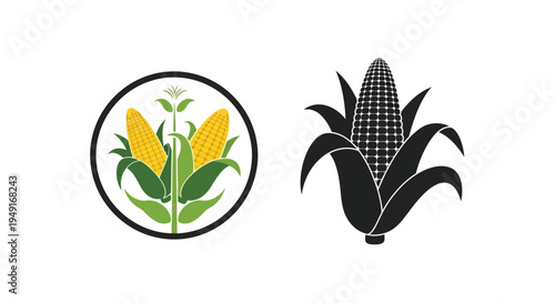 Two depictions of corn a colored stalk within a circle and a black silhouette