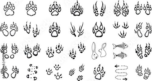 Collection of various animal paw prints isolated on transparent background