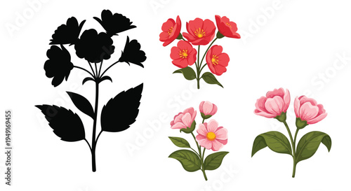 Floral arrangements featuring vibrant red and pink blossoms alongside a black silhouette