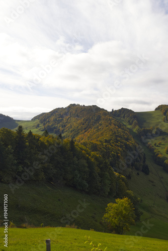 Hiking in the forest autumn time 