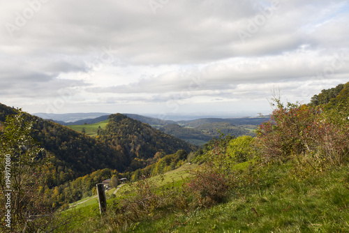 Hiking in the forest autumn time 
