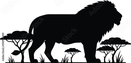 Silhouette of a majestic wild male lion standing in the african savanna landscape with acacia trees representing beautiful nature wildlife and safari tour concepts.