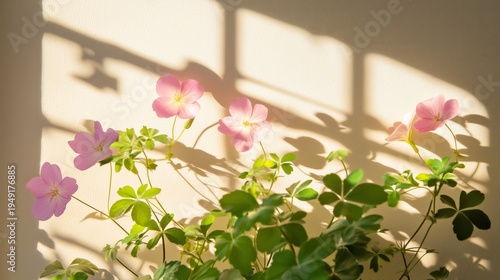 Bright Flowers Cast Shadows on a Wall in a Sunny Room During the Afternoon Hours