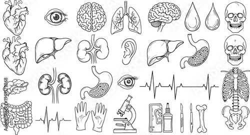 A collection of human organ illustrations isolated on transparent background