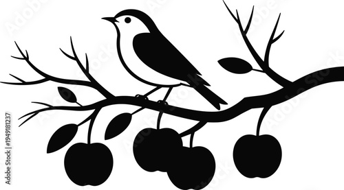 Bird perched on apple tree branch silhouette, black wildlife nature illustration with fruits and leaves isolated on white