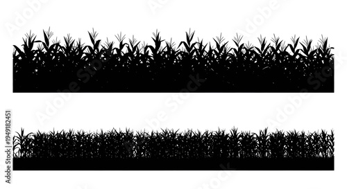 Black silhouette of a dense corn field with tall stalks and leaves arranged in two horizontal rows