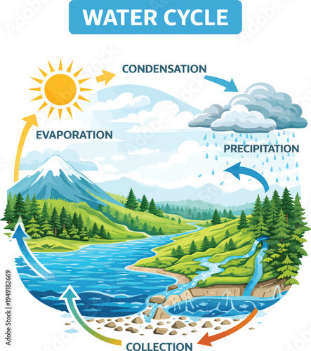 Isometric tropical island landscape with river, forest, mountains and ocean coastline, colorful nature environment map illustration