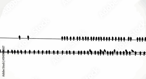 A large flock of birds resting peacefully on two parallel electric power lines in the open sky